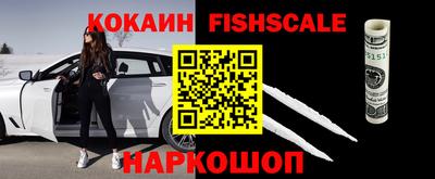 гашик Анжеро-Судженск