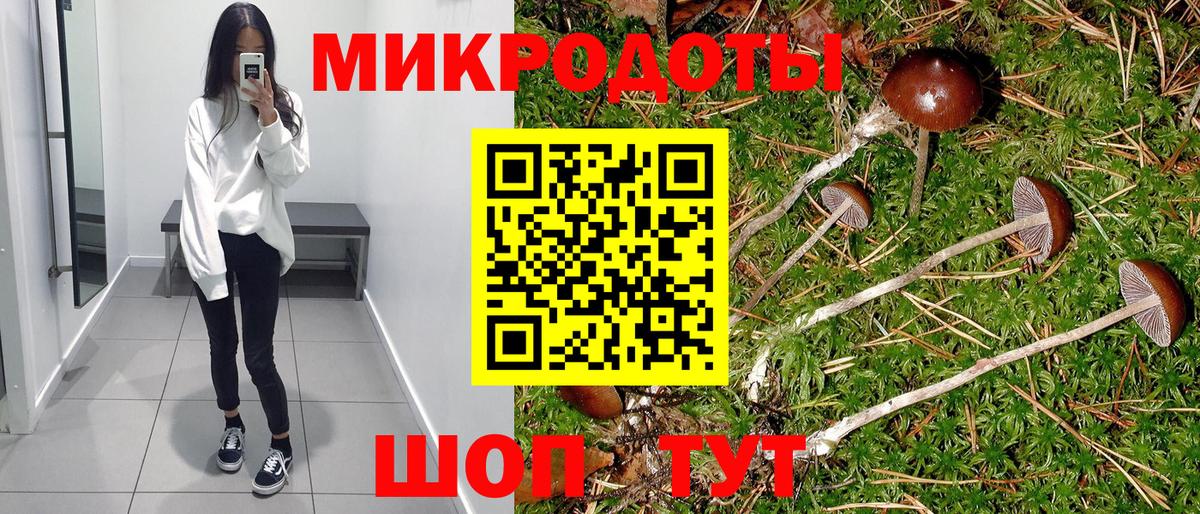 Галлюциногенные грибы прущие грибы  Галлюциногенные грибы мицелий  Вход с VPN  Алушта 