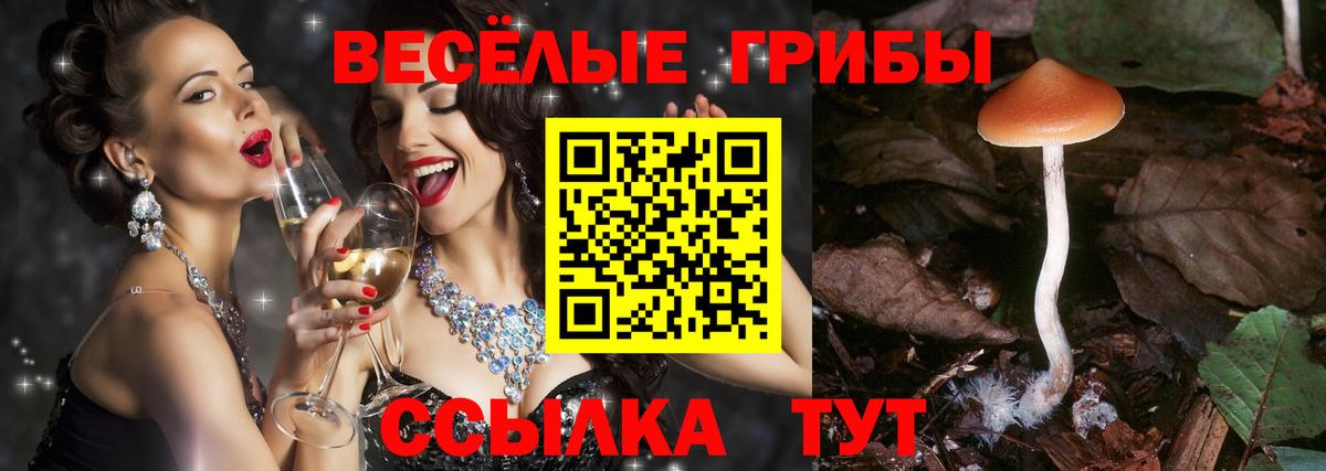 Псилоцибиновые грибы Psilocybe Алушта